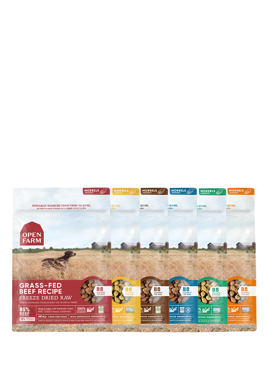 Open Farm Freeze Dried Raw Variety Pack
