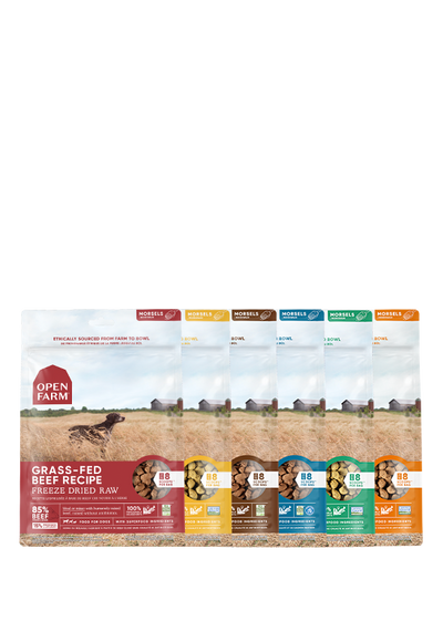 Open Farm Freeze Dried Raw Variety Pack