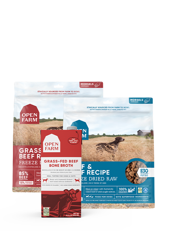 Open Farm Picky Pets Bundle