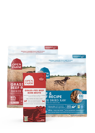 Open Farm Picky Pets Bundle