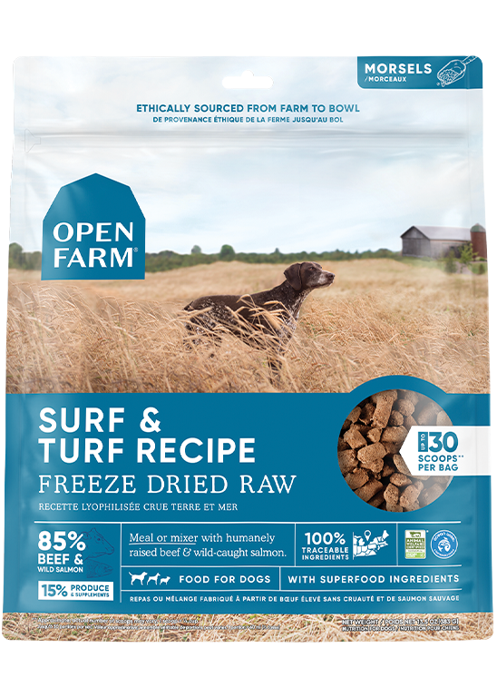 Open Farm Skin & Coat Bundle