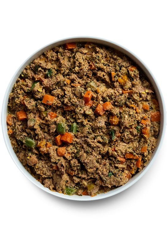 Open Farm Pet Grass-Fed Beef Gently Cooked Recipe
