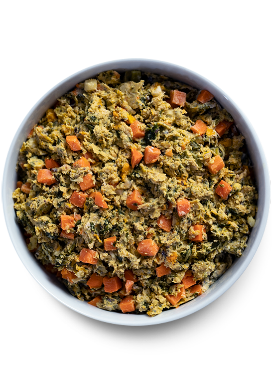 Open Farm Pet Harvest Chicken Gently Cooked Recipe