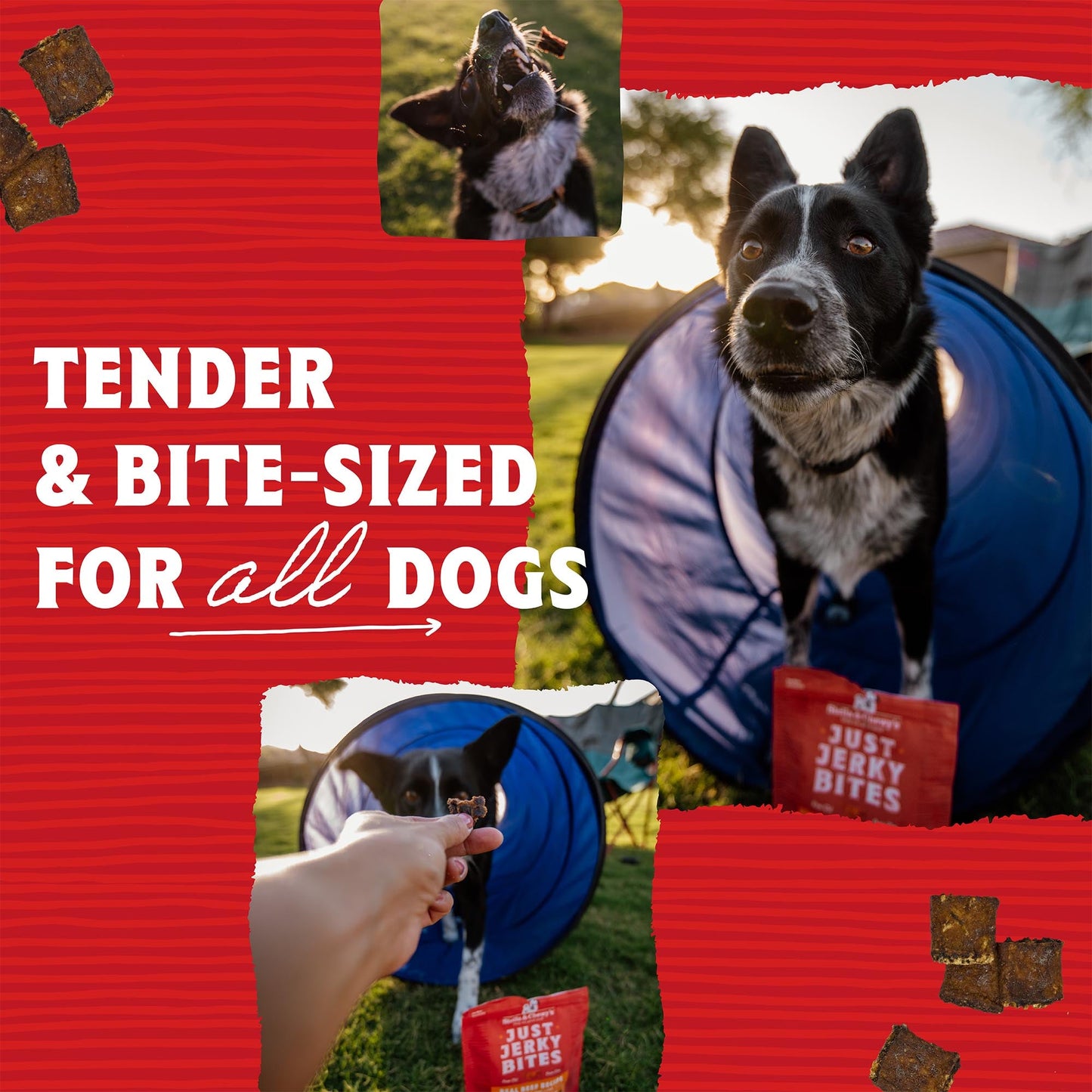 Just Jerky Bites Real Salmon Recipe