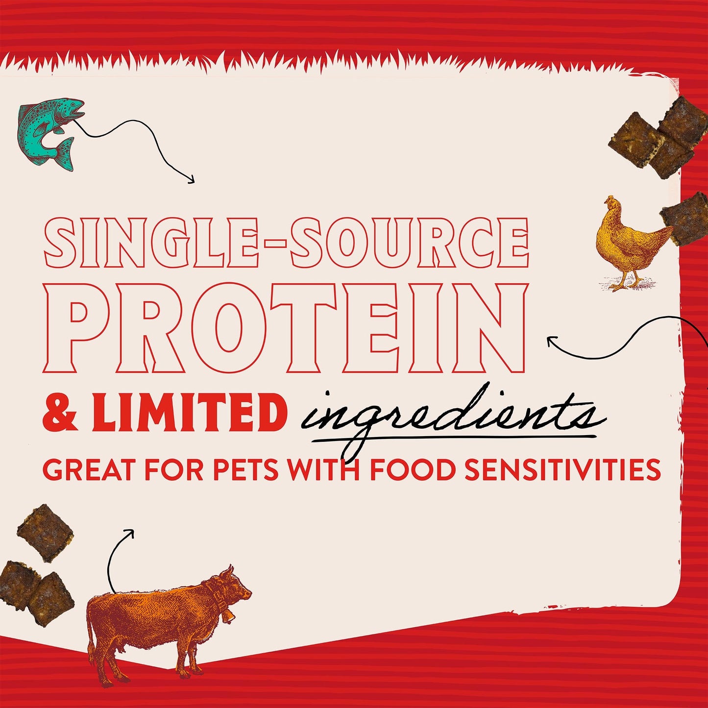 Just Jerky Bites Real Chicken Recipe