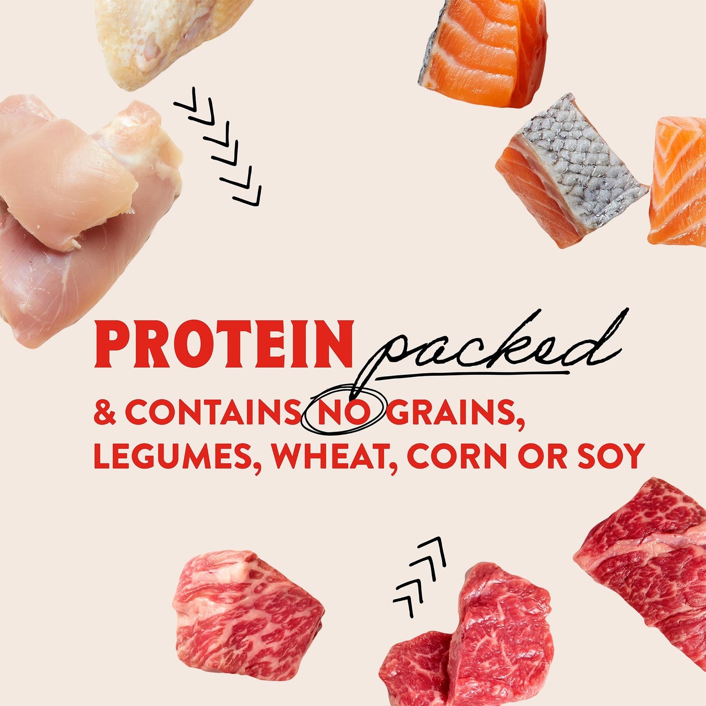 Just Jerky Bites Real Salmon Recipe