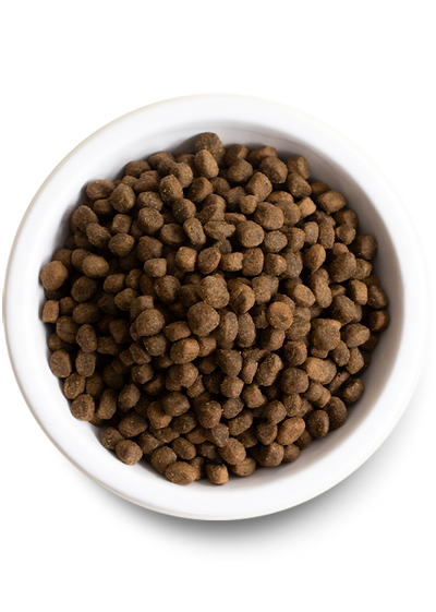Open Farm Kind Earth Premium Insect Dry Dog Food
