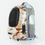 PetKit Desert Breezy 2 & Refresh Set