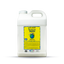Hypoallergenic Shampoo