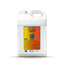 2-in-1 Conditioning Shampoo - Mango Tango®