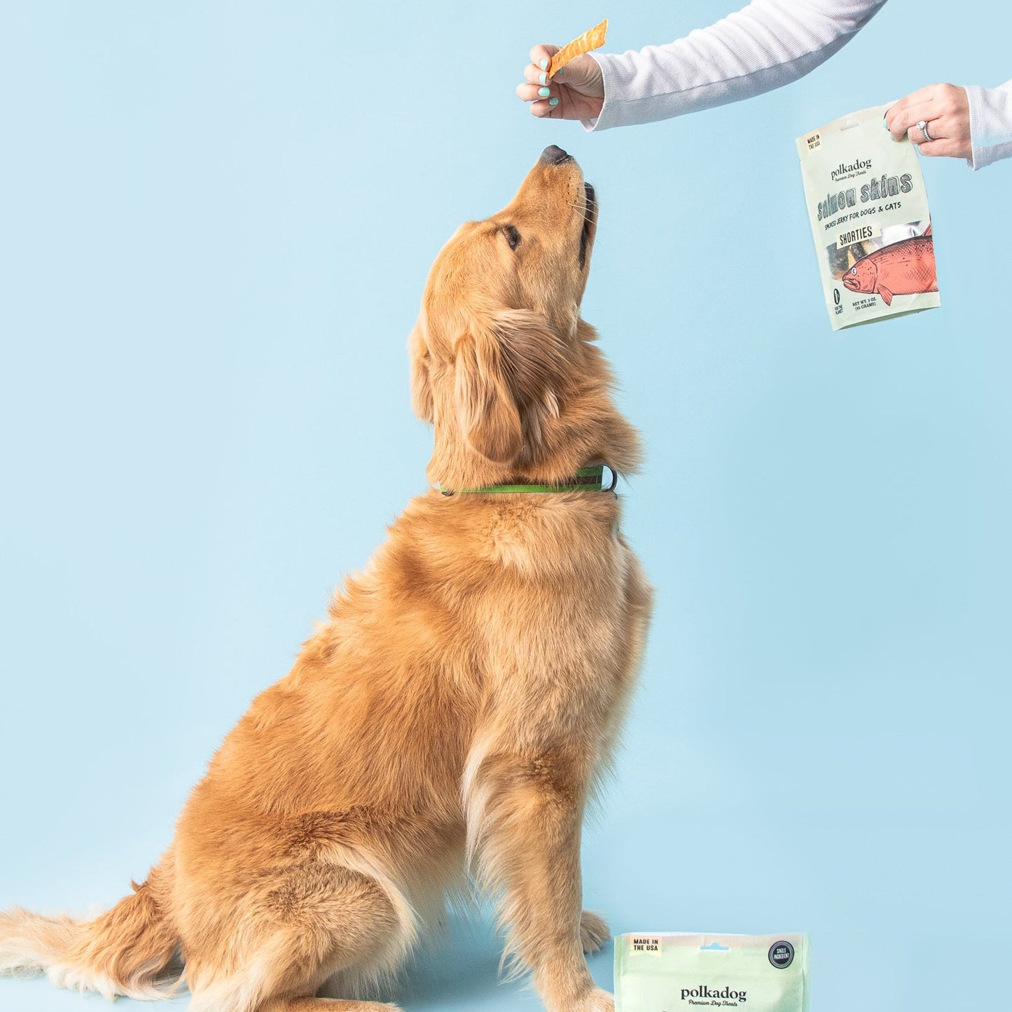 Polkadog Salmon Skins Shorties