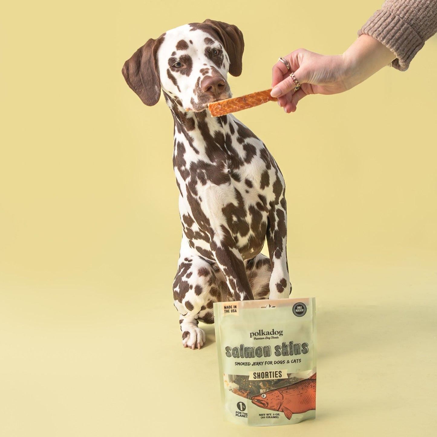 Polkadog Salmon Skins Shorties