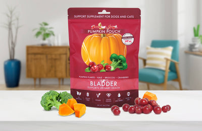 Pumpkin Pouch Bladder