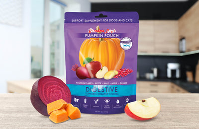 Pumpkin Pouch Digestive