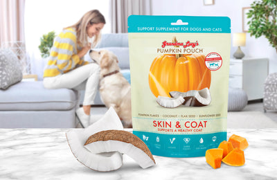 Pumpkin Pouch Skin & Coat