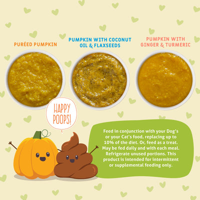 Pumpkin Pumpkin, What's Your Function?!