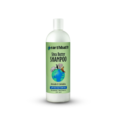 Shea Butter Shampoo