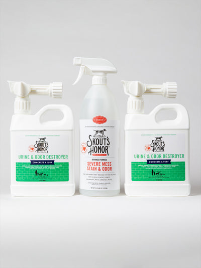Patio & Yard Cleanup Bundle