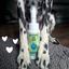 Paw Wash
