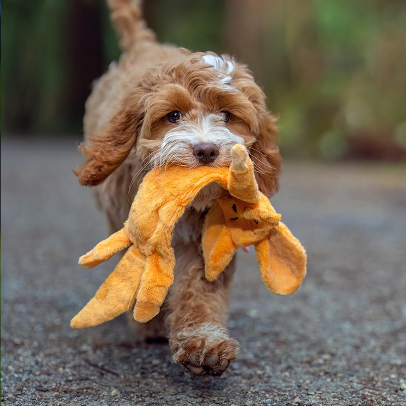 Rabbit and Fox Dog Chewing Toys - Interactive and Durable