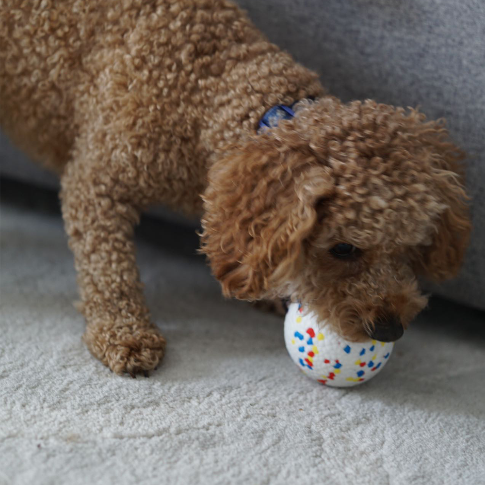 Water-floating E-TPU Dog Ball |Durable, Dental-Safe, and Versatile Pet Toy for Chewers