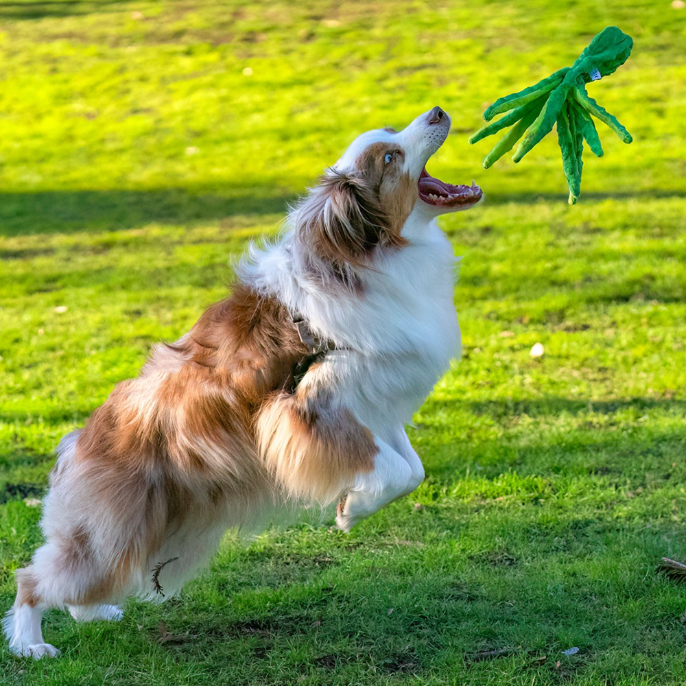 Interactive Squeaky Dog Toy Set - Sound Octopus 2-Pack