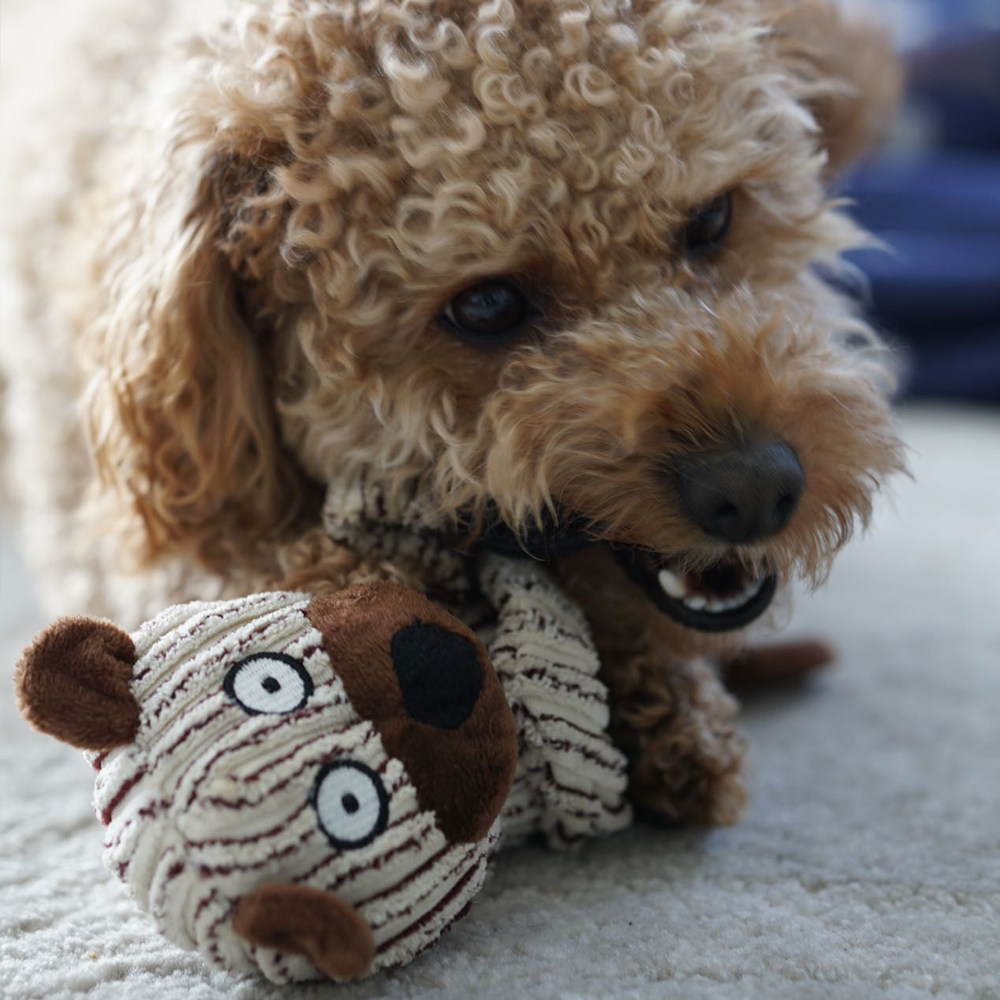 Squeaky Plush Dog Toy - Rubber Ring Bull Design for Interactive Fun
