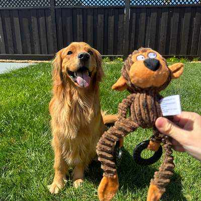 Squeaky Plush Dog Toy - Rubber Ring Bull Design for Interactive Fun