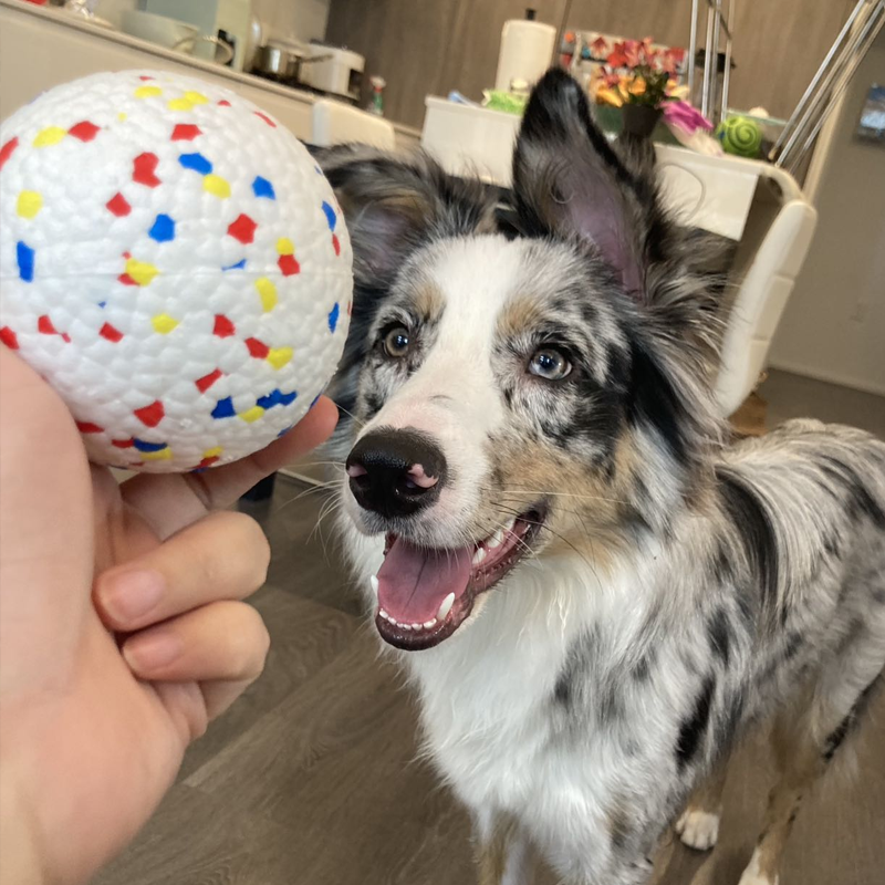 Water-floating E-TPU Dog Ball |Durable, Dental-Safe, and Versatile Pet Toy for Chewers