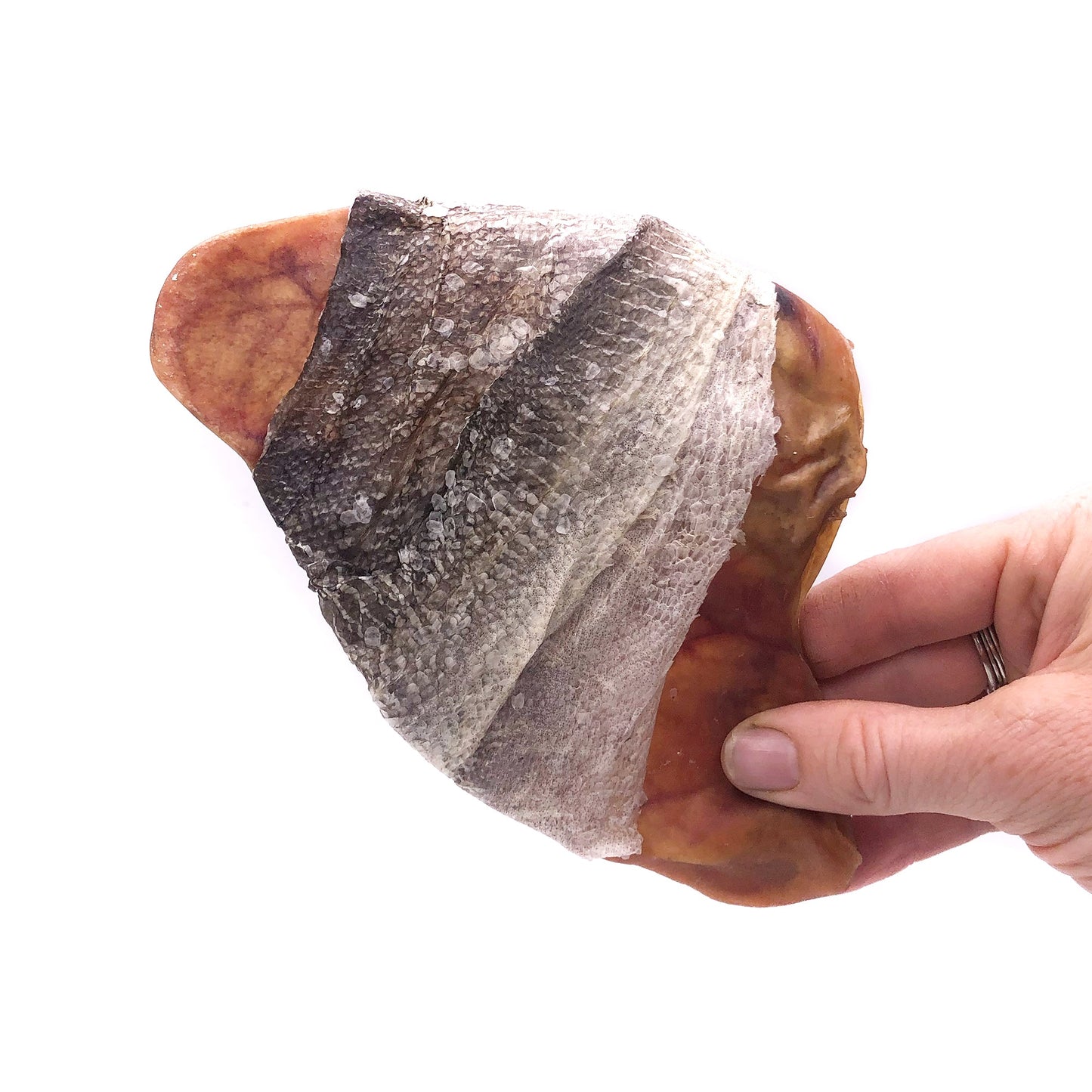 Fish Ear Cod Skin Wrapped Pig Ear Dog Treat
