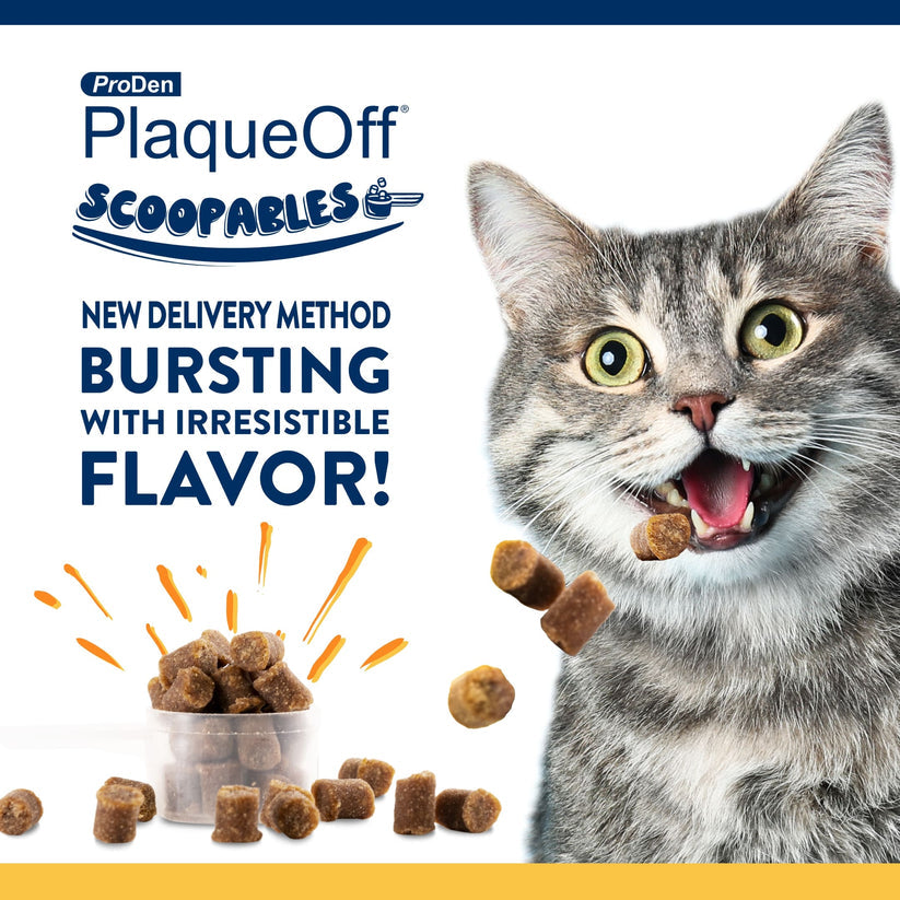 Proden PlaqueOff Dental Supplement Scoopables for Cats