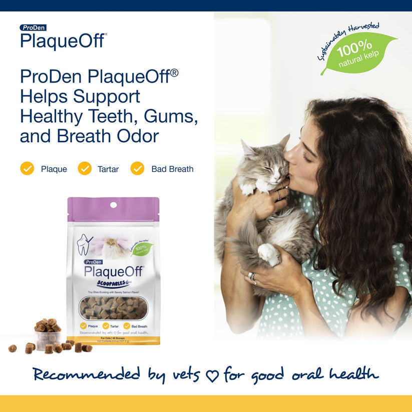 Proden PlaqueOff Dental Supplement Scoopables for Cats