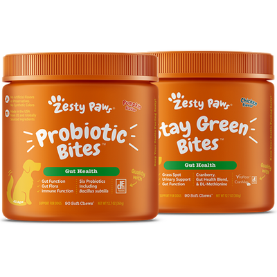 Stay Zesty Tummy 2 Pack Bundle for Dogs