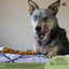 Bully Coated Large Bone