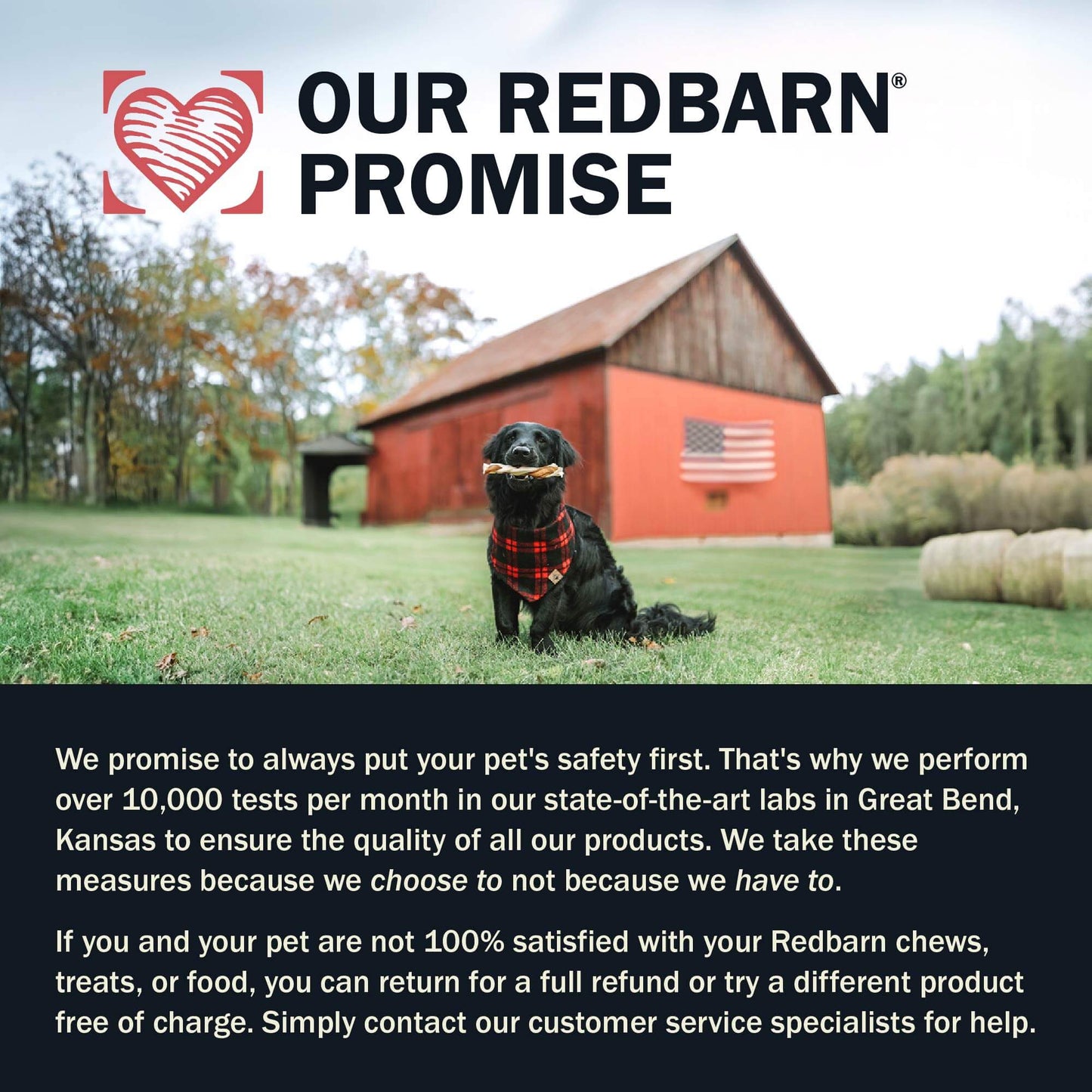 Air Dried Powerfood Healthy Puppy Beef & Lamb Recipe