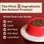 First-Five Kibble Whole Grain Land Recipe