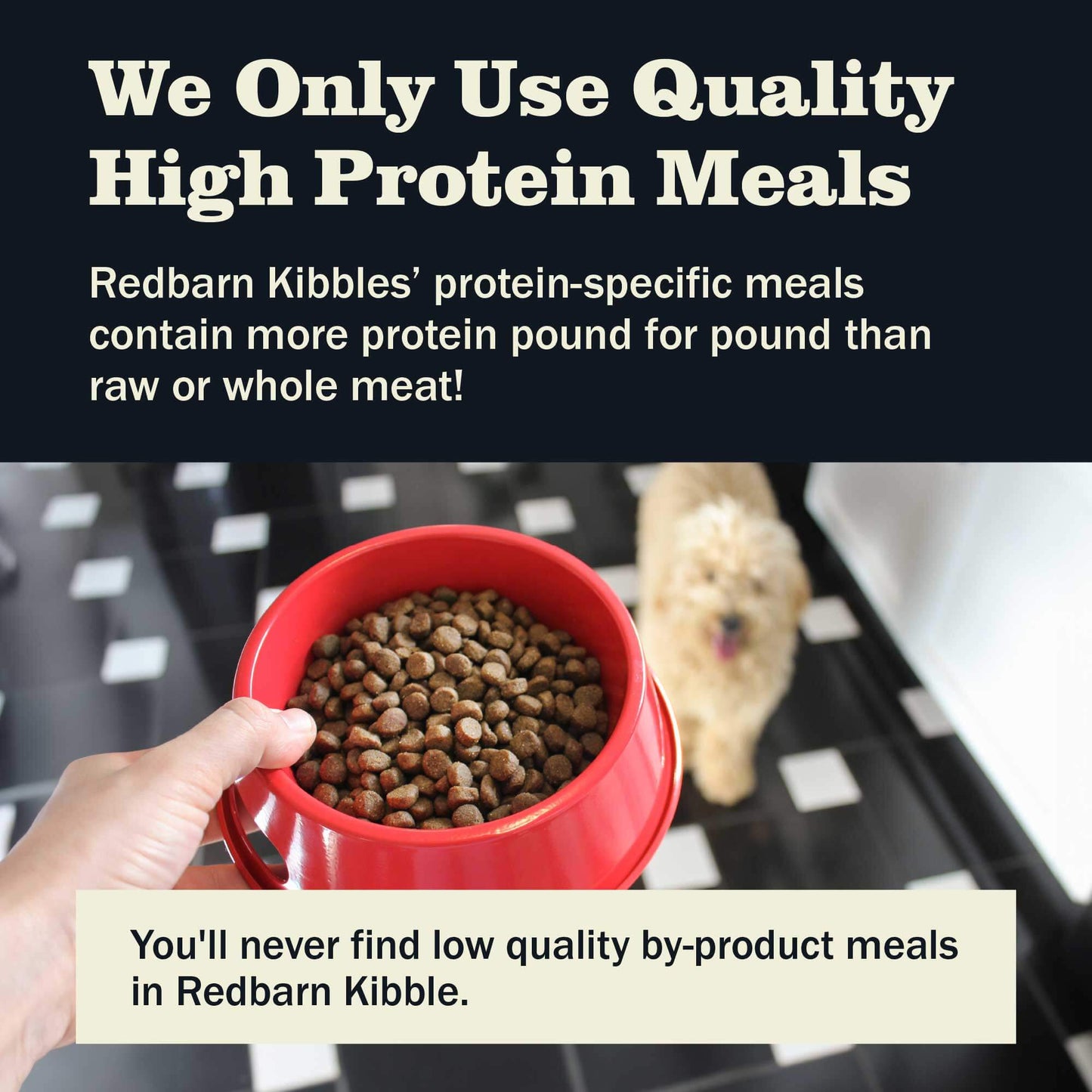First-Five Kibble Grain-Free Ocean Recipe