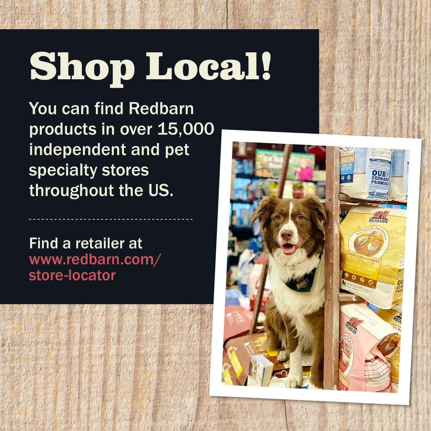 First-Five Kibble Whole Grain Puppy Beef & Lamb Recipe