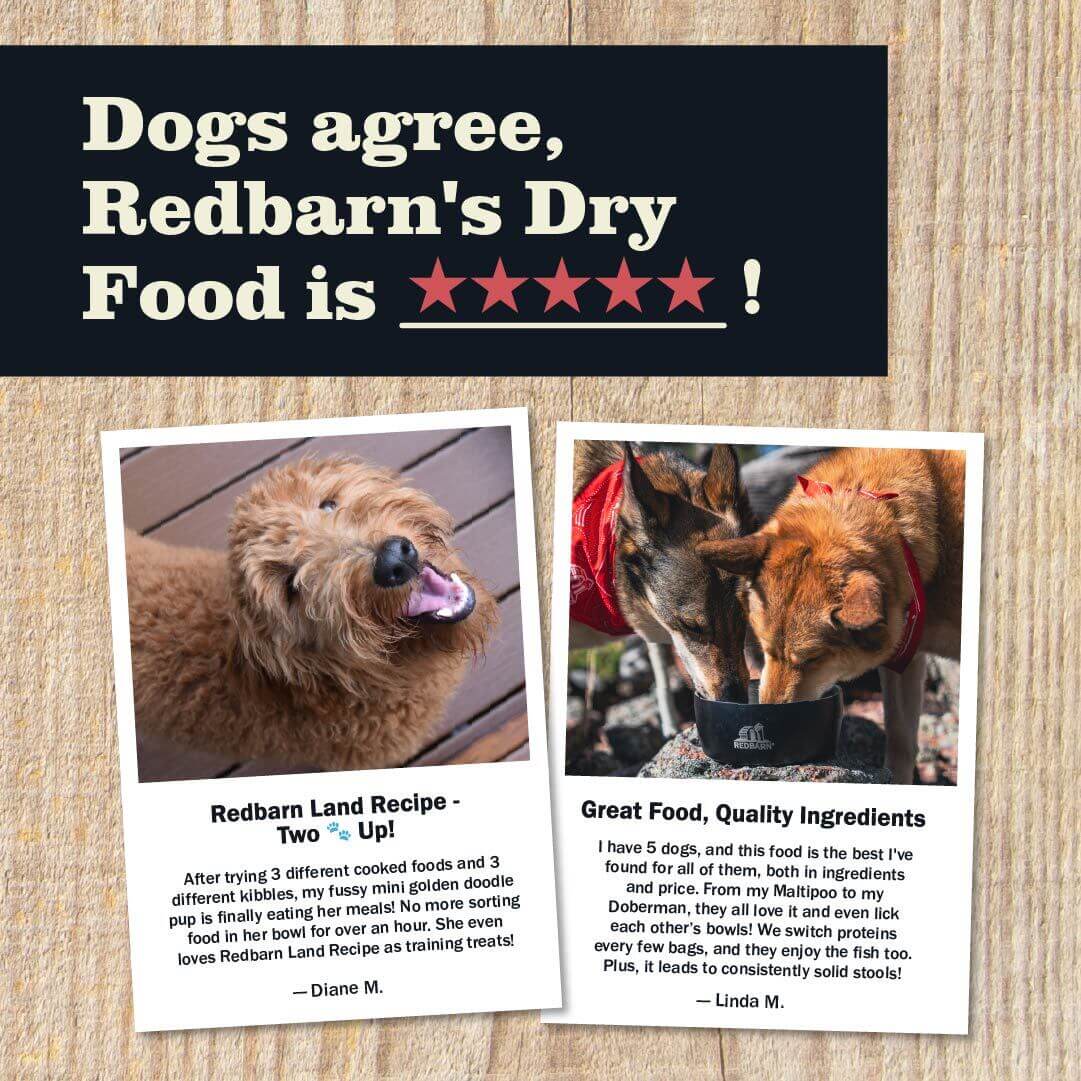 First-Five Kibble Grain-Free Ocean Recipe