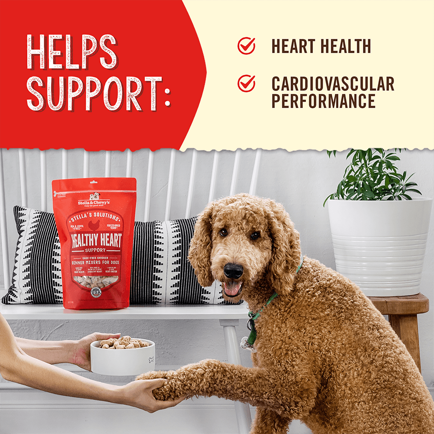Stella’s Solutions Healthy Heart Support