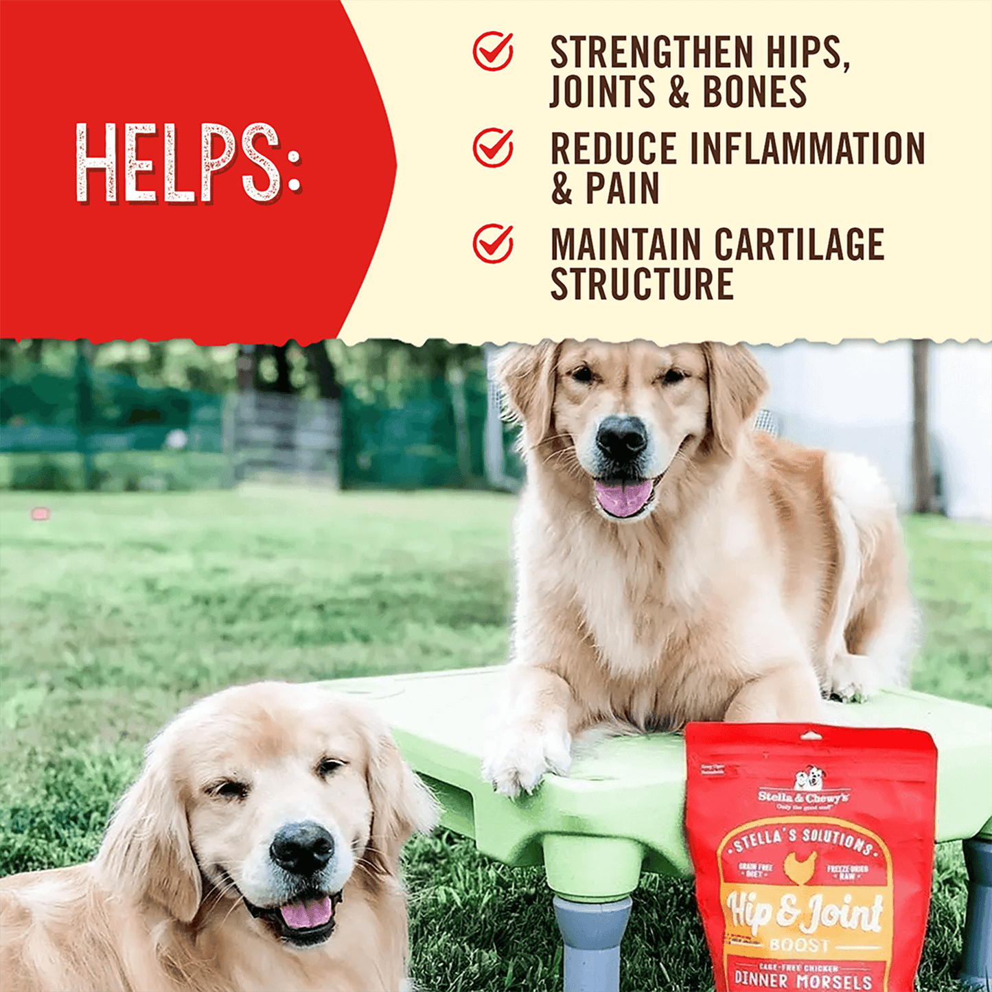 Stella’s Solutions Hip & Joint Support