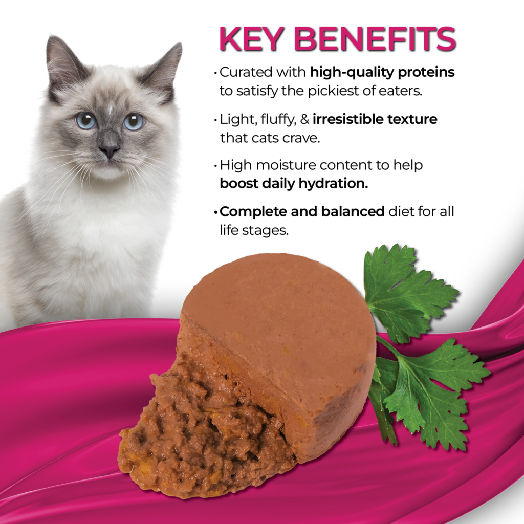 Fussie Cat Fine Dining Mousse Sardine With Pumpkin Entree In Gravy 2.47-oz, Wet Cat Food, Case Of 24