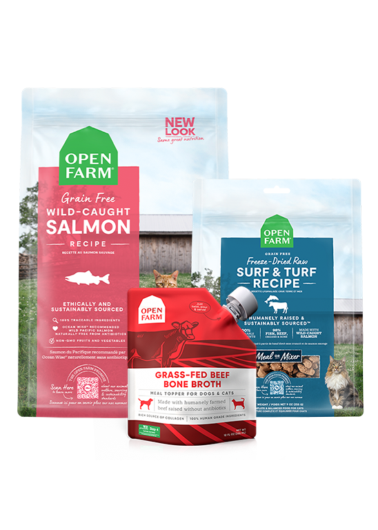 Open Farm Skin & Coat Bundle for Cats