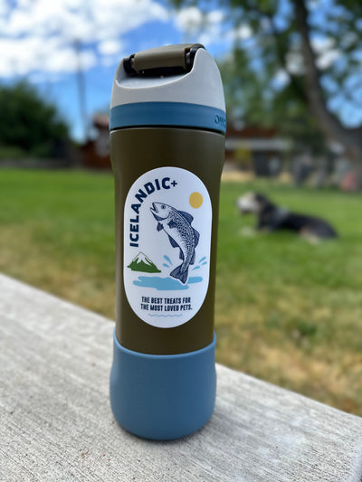 Jumping Fish Sticker