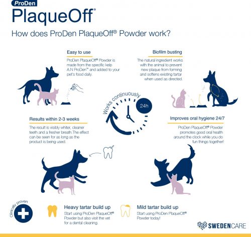 Proden PlaqueOff Dental Powder Supplement for Cats