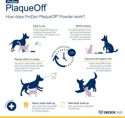 Proden PlaqueOff Dental Powder Supplement for Cats