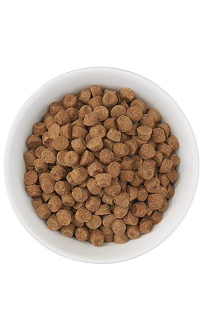 Tiki Cat Born Carnivore, Herring And Salmon Recipe, Dry Cat Food, 2.8-lb Bag