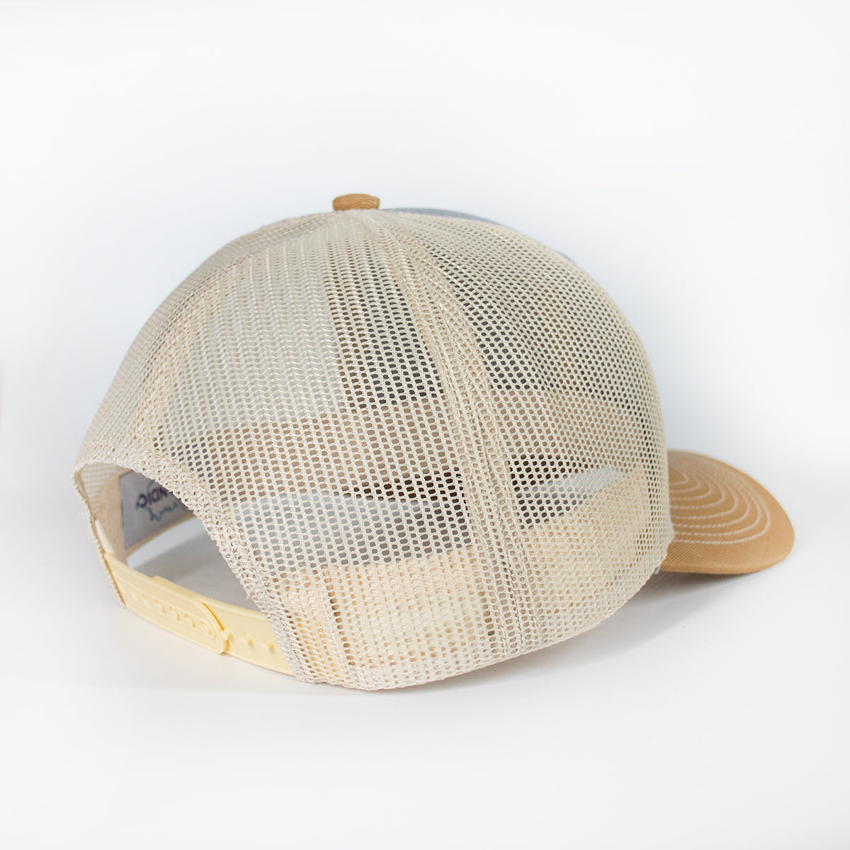 Iceland Mountain Gray Gold Mesh Hat