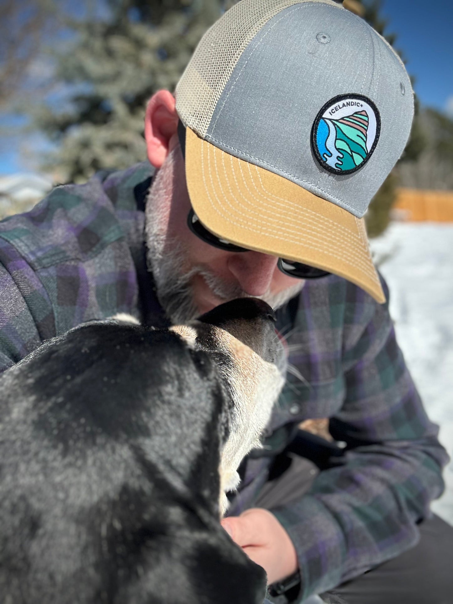 Iceland Mountain Gray Gold Mesh Hat