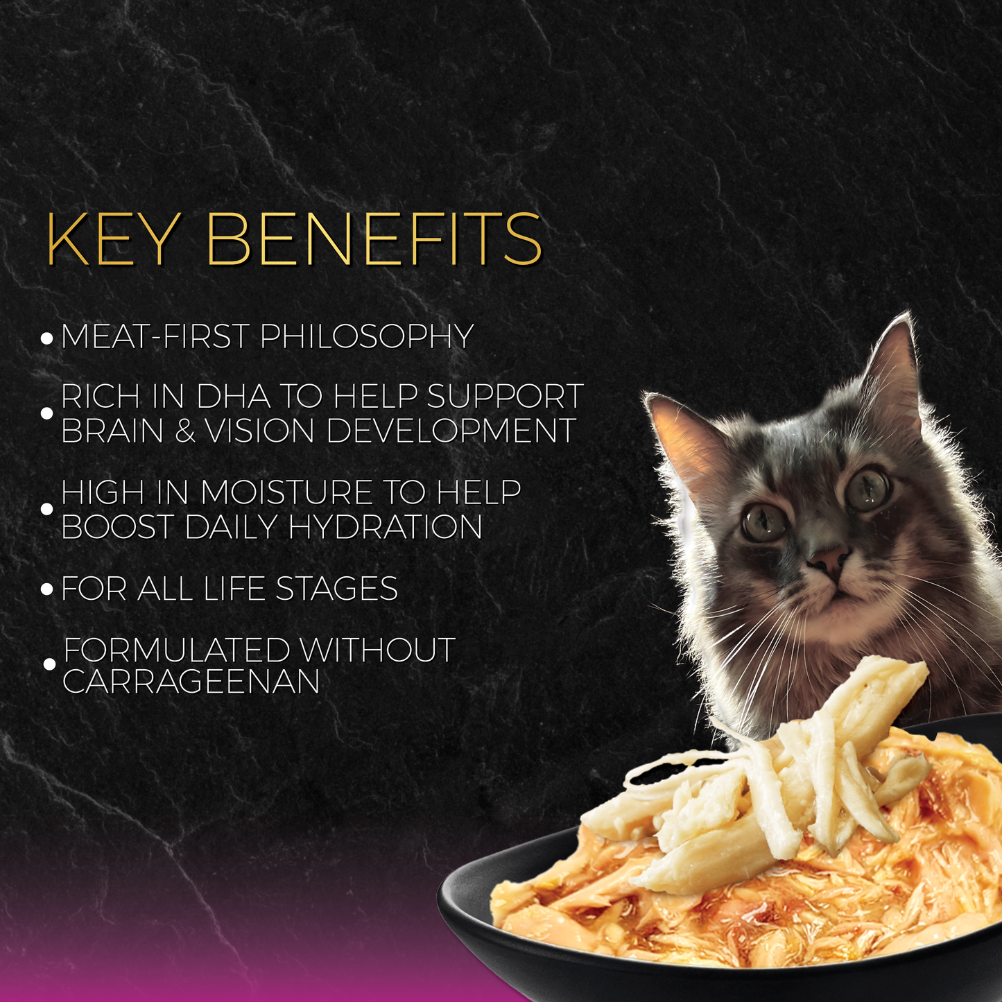 Fussie Cat Tuna With Chicken Formula in Gravy 2.82-oz, Wet Cat Food, Case Of 24